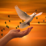 Jesus Cristo como exemplo de liderança